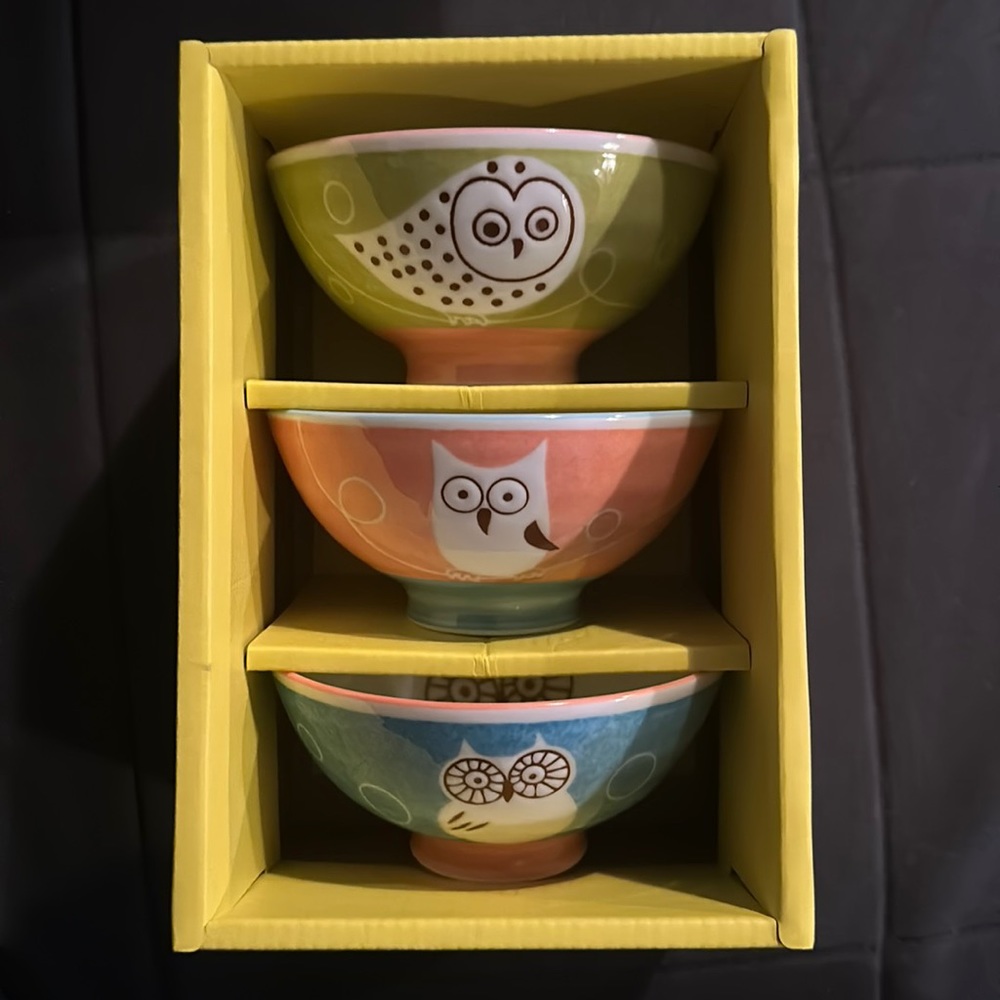 Super Cute 3 Owl Bowls *Brand New in Box*